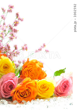 薔薇の花束のプレゼント 薔薇の花束のプレゼント 1002592