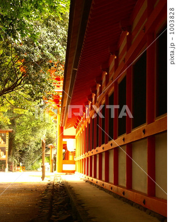 下賀茂神社 1003828