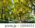 花のトンネル 1004053