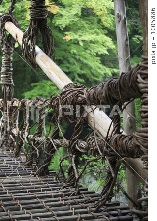 かずら橋 1005886