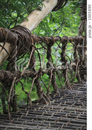 かずら橋 1005890