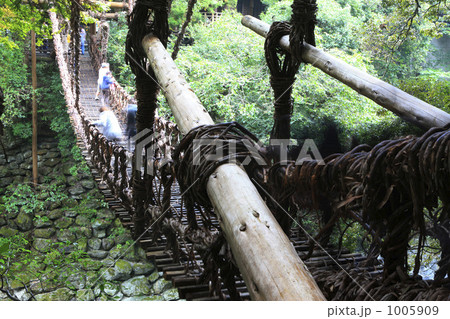 かずら橋 1005909