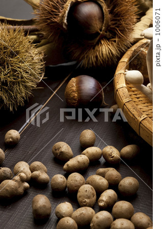 秋の食物 1006071