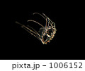 1006152