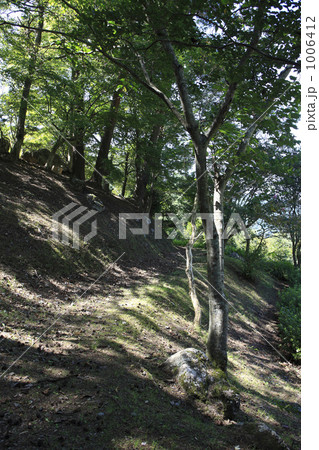 龍馬脱藩の道 1006412