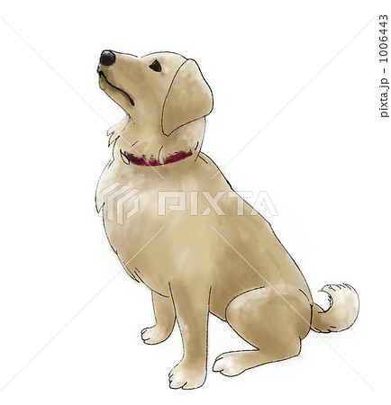 かわいい動物画像 最高犬 おすわり イラスト 横