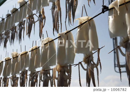 干しイカ 1006782