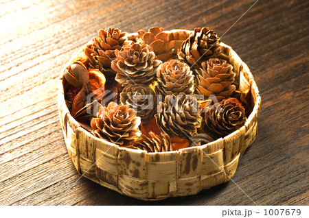 松ぼっくり 松ぼっくり 1007679