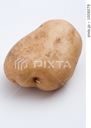 ジャガイモ ジャガイモ 1008078
