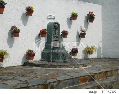 花と白い壁 1008765