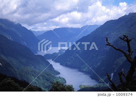 ウィルモット峠から見たフィヨルド　ダウトフル・サウンド 1009374