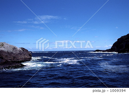 ﾆｭｰｼﾞｰﾗﾝﾄﾞのフィヨルド　ダウトフル・サウンド 1009394