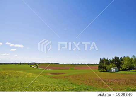 プリンスエドワードの畑１ 1009840