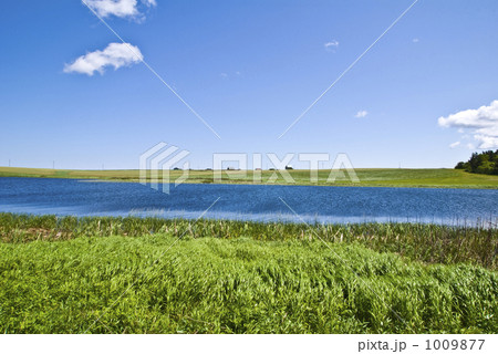 プリンスエドワードの草原5 プリンスエドワードの草原5 1009877