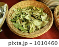 ペルー　コカの葉 1010460