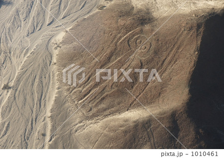 ナスカの地上絵 1010461