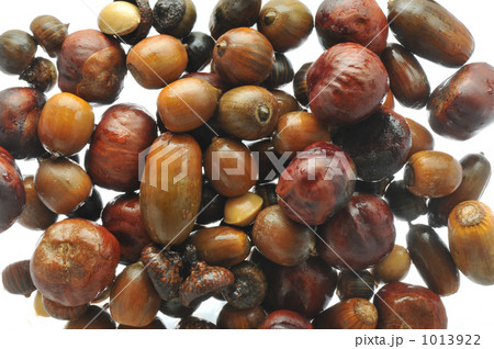 自然の恵み 1013922