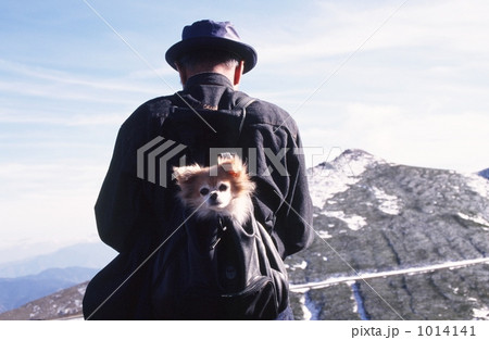 イヌと登山した老人 イヌと登山した老人 1014141