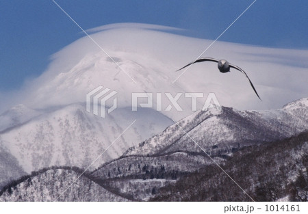 傘雲がかかった雪山と飛ぶ鳥 1014161