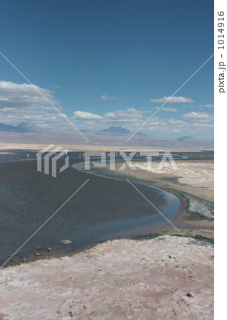 アタカマ塩湖２ 1014916