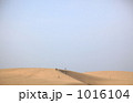 鳥取砂丘 鳥取砂丘 1016104