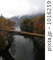 北海道遺産 上士幌のアーチ橋梁群 北海道遺産 上士幌のアーチ橋梁群 1016259