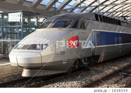 ＴＧＶ 1016554