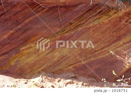 プロバンスの大地 1016751