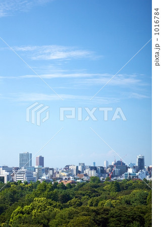 都市の中の自然 1016784