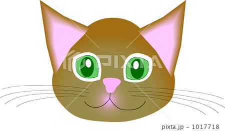 アビシニアン 1017718