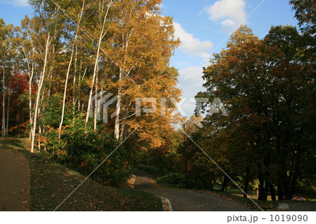 秋の小道 秋の小道 1019090