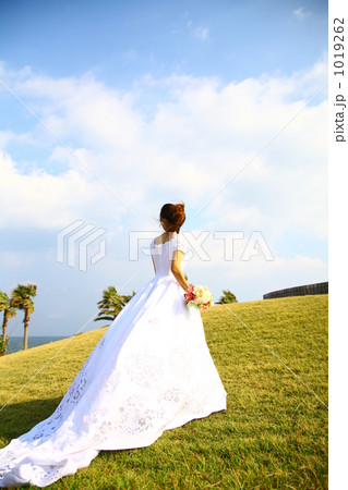 花嫁の後姿 1019262
