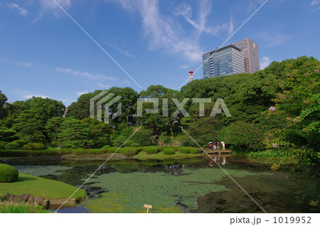 皇居東御苑の日本庭園 1019952