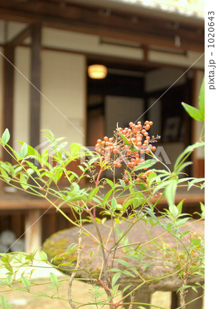 日本家屋の庭 1020643