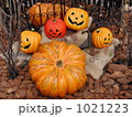 ハロウィン 1021223