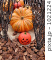 ハロウィン 1021224