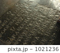 1021236