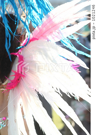 日に透ける白い羽 1021246