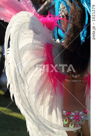 天使の羽 1021279