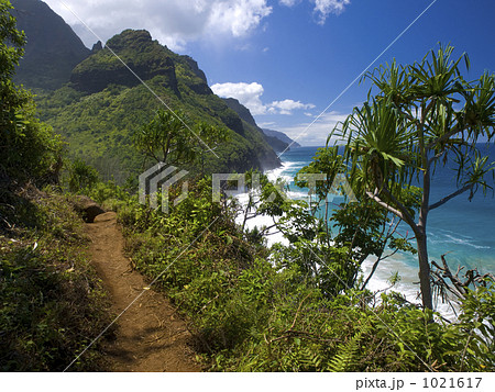 カウアイ島のカララウトレイル 1021617