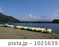 ダブル富士山 1021639