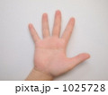 幸せを掴む手 1025728