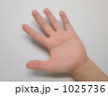 幸せを掴む手 1025736