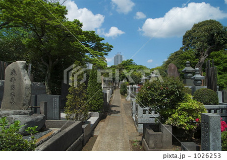 護国寺の墓地 1026253