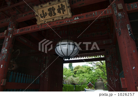 護国寺の仁王門 1026257