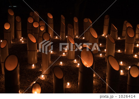 和歌山城の竹燈夜 和歌山城の竹燈夜 1026414