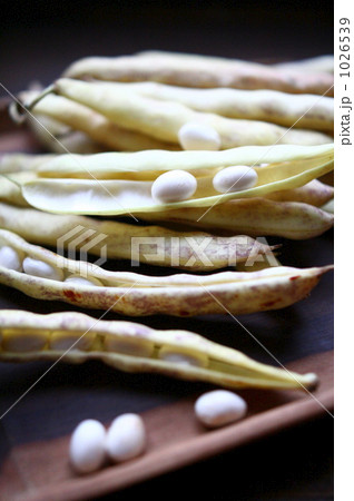 生インゲン豆 生インゲン豆 1026539
