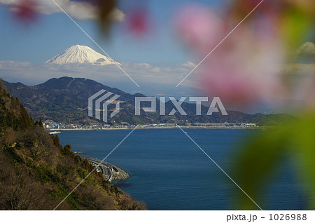 ほのぼのと春の訪れいにしえ思う ほのぼのと春の訪れいにしえ思う 1026988