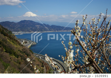 静岡名所さった峠の早い春 1026991