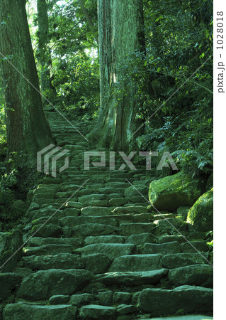 熊野古道 熊野古道 1028018